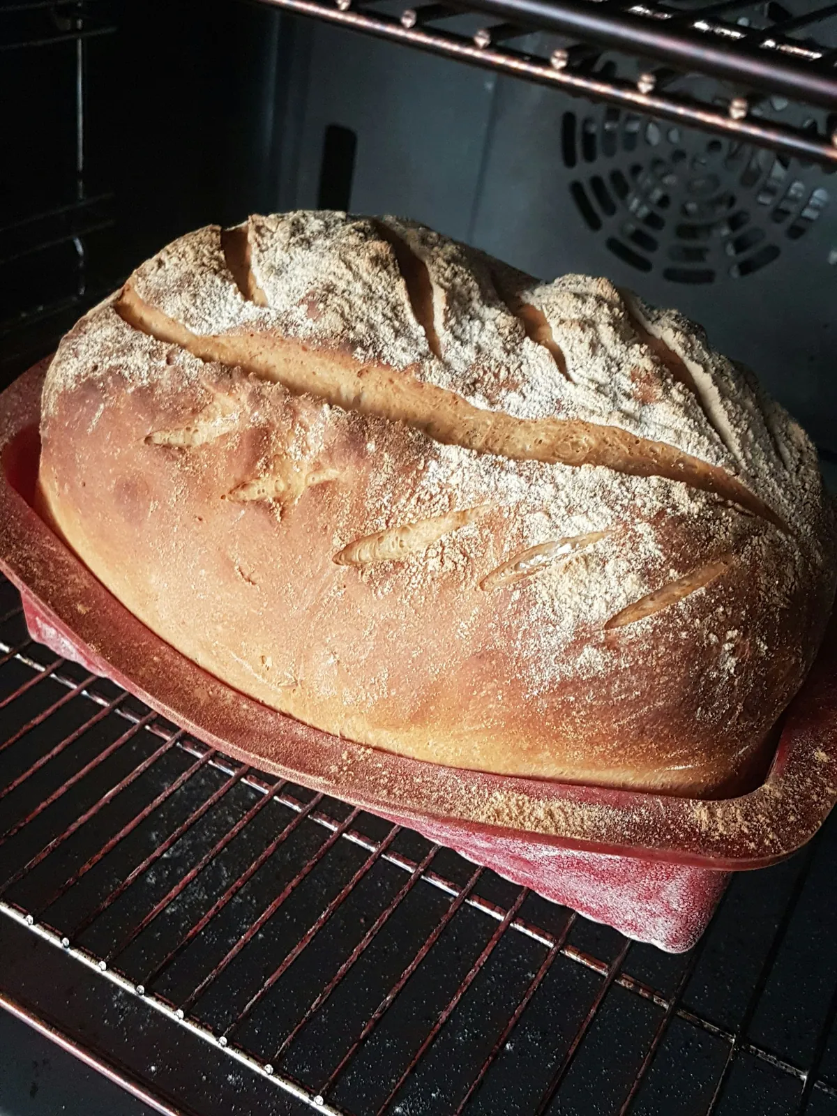 Pão de fermentação natural assando no forno